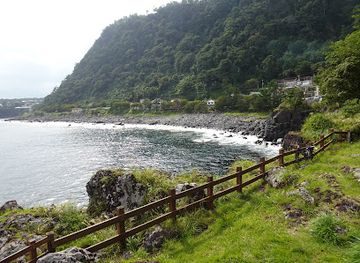 japan/izu/attraction/une-tenbo-dai