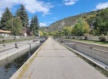 colorado/durango/attraction/durango-state-fish-hatchery