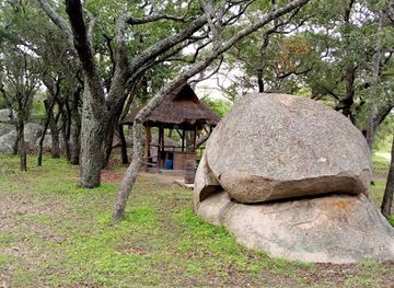 zimbabwe/bvumba-botanical-gardens/attraction/haka-camp-game-park