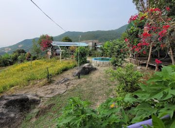 vietnam/central-highlands/attraction/diem-tham-quan-da-ong-to