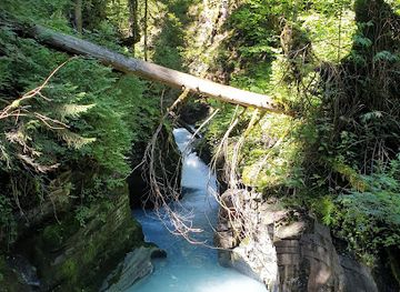 switzerland/graubunden/attraction/felsbachschlucht