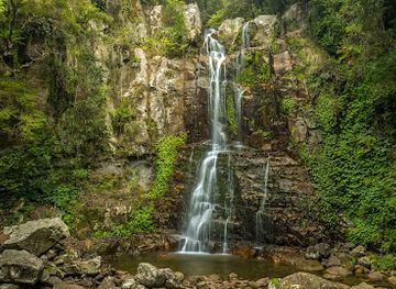 australia/illawarra/attraction/minnamurra-rainforest-centre
