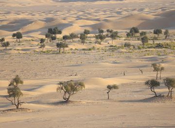 saudi-arabia/empty-quarter-desert/attraction/rub-al-khali-sand-dunes