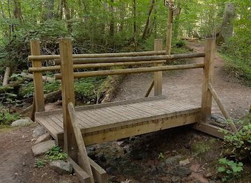 latvia/sigulda/attraction/sateseles-kanjons