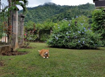 trinidad-and-tobago/tunapuna/attraction/the-secret-garden