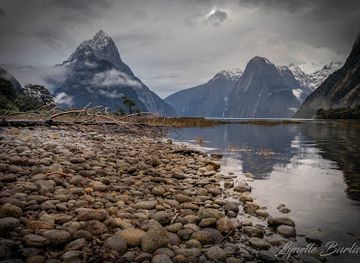 new-zealand/milford-sound/attraction/milford-sound-foreshore-walk