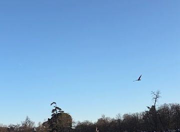 spain/madrid/retiro/attraction/retiro-park