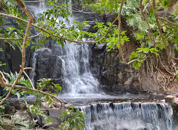 Bill Goulds Lookout