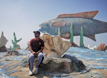 saudi-arabia/farasan-islands/attraction/dwar-alsmkh