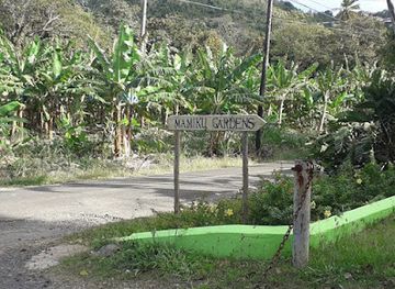 saint-lucia/choiseul/attraction/mamiku-gardens
