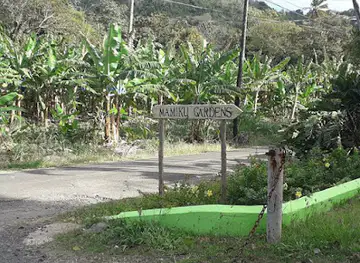 Mamiku Gardens