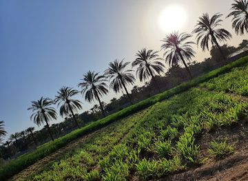 oman/ibri/attraction/dar-al-diafah-guesthouse