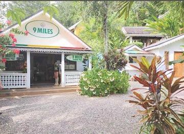 jamaica/ocho-rios/attraction/nine-mile