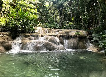 jamaica/negril-area/attraction/the-turtle-river-falls-gardens-formerly-the-enchanted-gardens