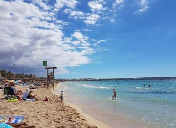 spain/mallorca/attraction/carretera-de-l-arenal