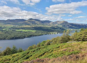 united-kingdom/cumbria/attraction/grizedale