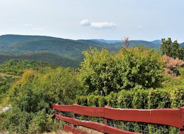 hungary/zemplen-mountains/attraction/panorama-pont