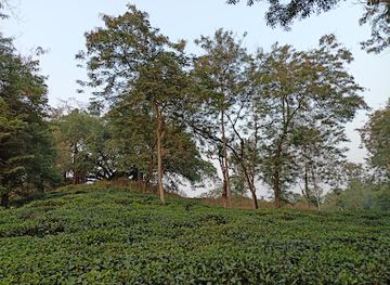 bangladesh/sylhet-division/attraction/tarapur-tea-estate