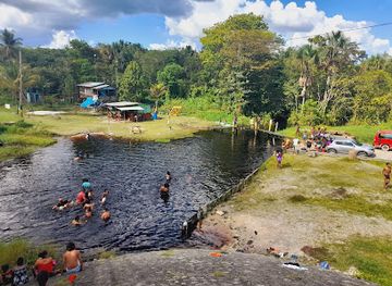 guyana/berbice-river/attraction/black-creek