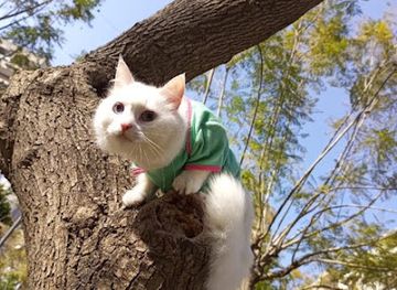 lebanon/tripoli/attraction/hdyq@-alyman