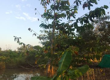 thailand/sukhothai/attraction/nature-learn-matchima-school-farm