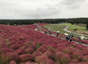 japan/hitachi/attraction/miharashi-no-kane-miharashi-bell