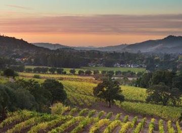 california/napa/attraction/landmark-vineyards