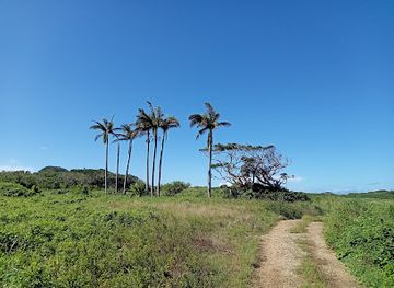 japan/ishigaki-island/attraction/hideki-ranch