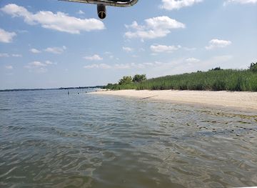 virginia/northern-neck/attraction/shark-tooth-island