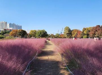 south-korea/suwon/attraction/misari-speedboat-park