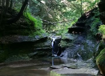 ohio/wayne-national-forest/attraction/boch-hollow-state-nature-preserve-north-trailhead