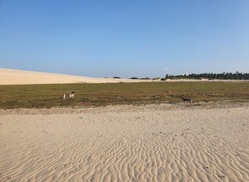 brazil/jericoacoara/attraction/duna-meia-lua