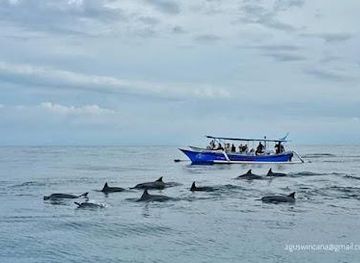 indonesia/bali/attraction/lovina-dolphin-watching