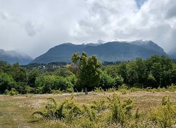 argentina/central-patagonia/attraction/museo-de-piedras-patagonicas