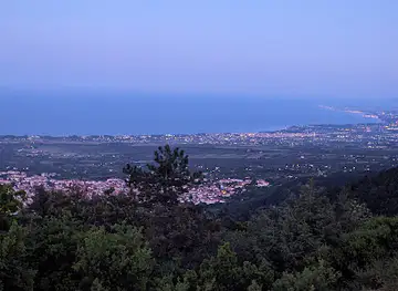 Panoramic view