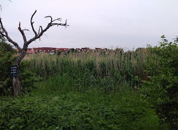 germany/wurzburg/attraction/keltensee