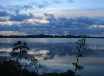 cyprus/larnaca-salt-lake/attraction/salt-lake-flamingo-route
