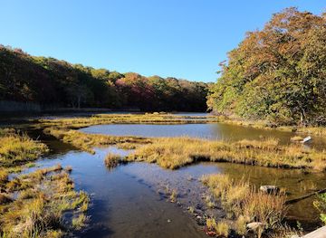 connecticut/connecticut-river-valley/attraction/rocky-neck-state-park