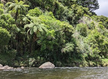 new-zealand/new-plymouth/attraction/balsom-park