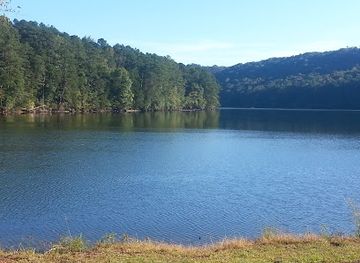 alabama/cherokee-rock-village/attraction/guntersville-city-harbor