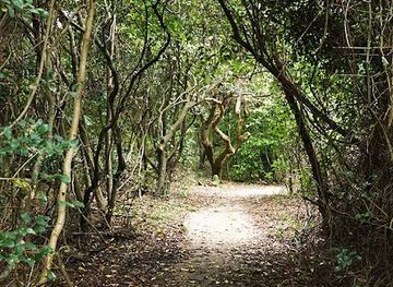 australia/northern-rivers/attraction/iluka-nature-reserve