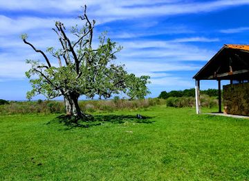 uruguay/sierra-de-rocha/attraction/el-potrerillo-de-santa-teresa