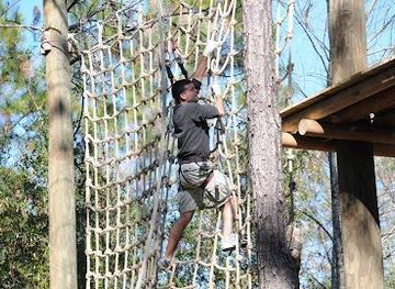 florida/orlando/attraction/orlando-tree-trek-adventure-park-zip-line