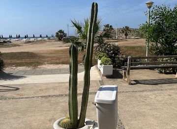 cyprus/ayia-napa/attraction/cactustoilet