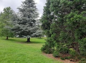 australia/hobart/attraction/cascade-gardens