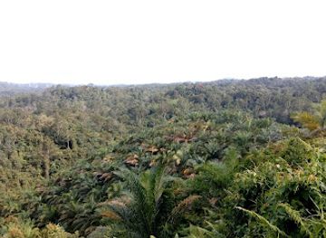 malaysia/borneo/attraction/skrang-river-safari-safari-sungai-skrang