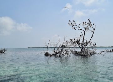 belize/lighthouse-reef-atoll/attraction/man-o-war-caye