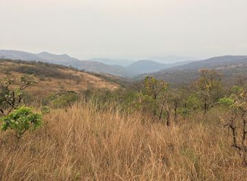 south-africa/nelspruit/attraction/pullen-farm