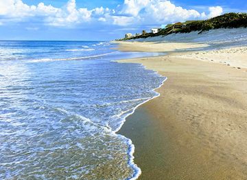 florida/nature-coast/attraction/archie-carr-national-wildlife-refuge