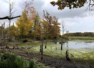 sweden/linkoping/attraction/long-hill